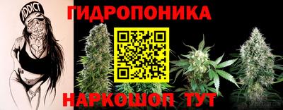 амфетамин Гай