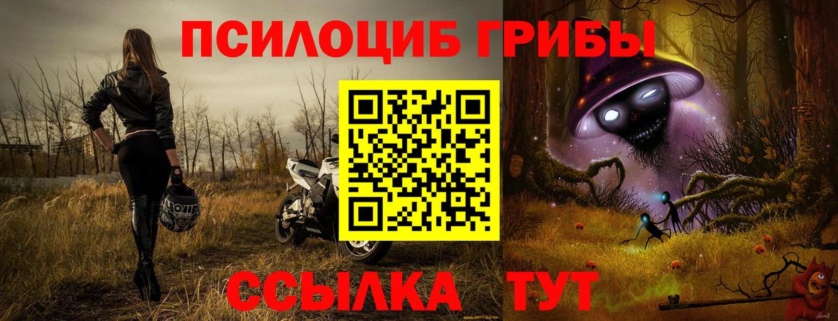 купить наркотик  Вход с VPN  Псилоцибиновые грибы прущие грибы  Березники  Псилоцибиновые грибы мицелий 