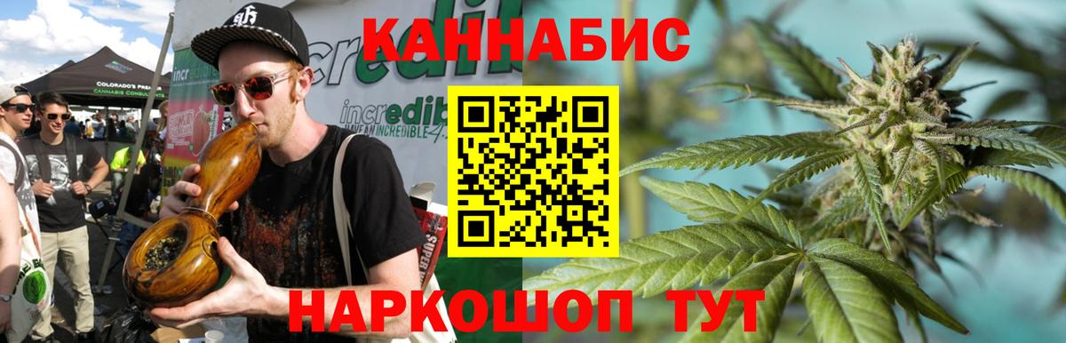 МАРИХУАНА план  Вход с VPN  Березники  Канабис сатива 